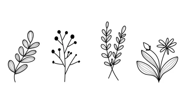 线条画简约的花朵 手绘元素 平面现代设计 白色背景隔离 矢量插图Eps — 图库矢量图片