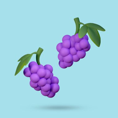 Üzüm meyvesi 3D Hazırlama, mavi arkaplanda izole edilmiş, kırpma yolu ile, illüstratör 3B