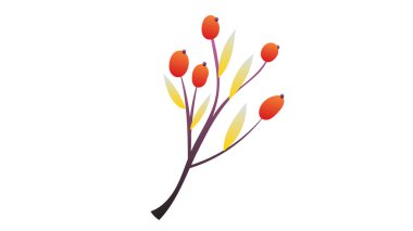 Sonbahar yaprağı, içerik için çevrimiçi veya web, pankart, beyaz arkaplan üzerinde izole edilmiş, Düz Modern tasarım, Görüntü Vektörü EPS 10