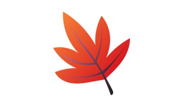 Sonbahar yaprağı, içerik için çevrimiçi veya web, pankart, beyaz arkaplan üzerinde izole edilmiş, Düz Modern tasarım, Görüntü Vektörü EPS 10