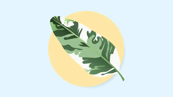 Тропічні Листя Листя Рослини Зелене Тропічне Листя Пальми Джунглі Пальми — стоковий вектор