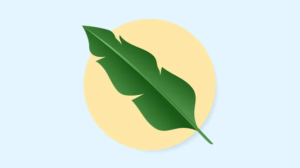 Tropiska Blad Plantblad Och Gröna Tropiska Palmblad Djungelpalmer Skog Flora — Stock vektor
