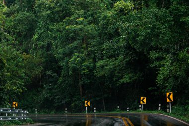 Sabah yağmur ormanları 