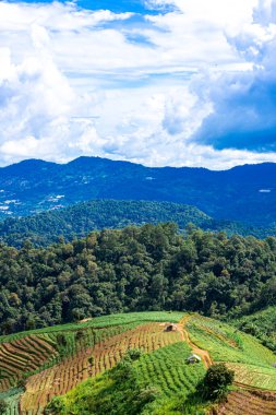 Dağların güzel manzarası 