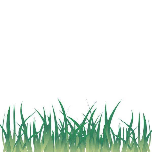 Zielona Trawa Izolowana Białym Tle — Wektor stockowy