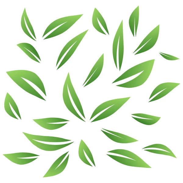 Grüne Blätter Laub Natur Pflanze Blatt Ökologie Frühling Abstrakter Vektorhintergrund — Stockvektor