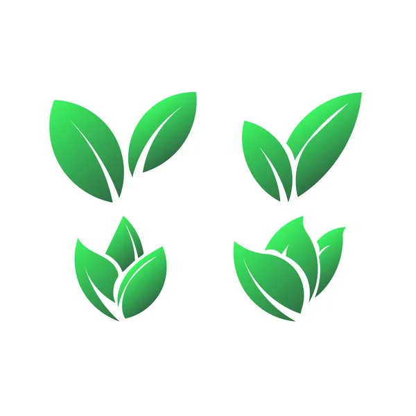 Grün Blatt Logo Vorlage Vektor Symbol Illustration Design — Stockvektor