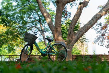 Bankta yeşil yapraklı bisiklet 
