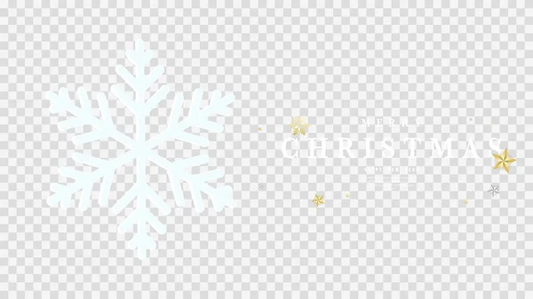 Christmas Background Snow Snowflakes Vector Illustration — Stock Vector