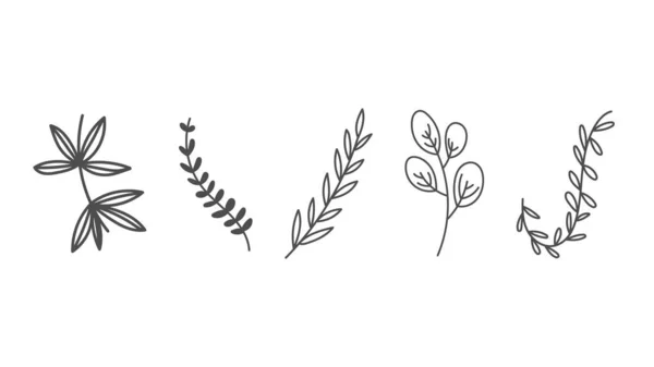 Квітковий Набір Квітами Листям Векторна Ілюстрація — стоковий вектор