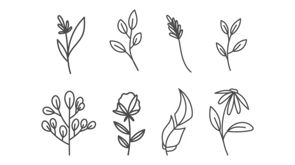 Set Hand Drawn Doodle Flower — Stock Vector