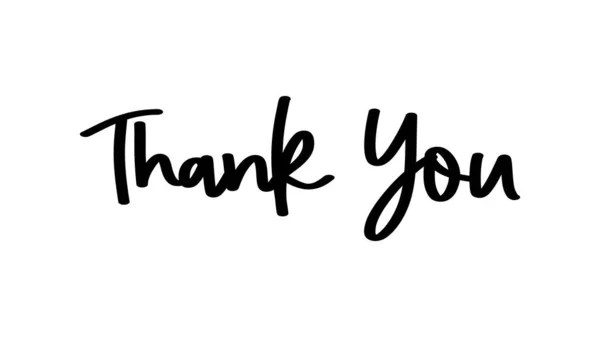 El yazısı için teşekkürler. vektör kaligrafi. El yazısı fırça kaligrafisi. 