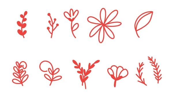 Ensemble Éléments Décoratifs Floraux Vectoriels — Image vectorielle