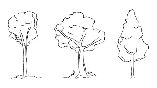 Εικονογράφηση Διανύσματος Δέντρων — Διανυσματικό Αρχείο