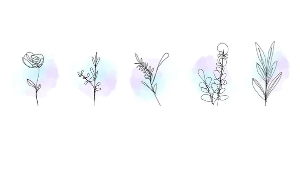 Σύνολο Ζωγραφισμένα Στο Χέρι Στοιχεία Floral Ακουαρέλα Εικονογράφηση Διανύσματος — Διανυσματικό Αρχείο