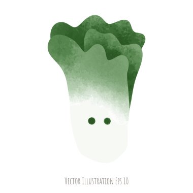 Beyaz arkaplanda yeşil lahana vektör çizimi