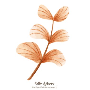 Sonbahar elementleri sonbahar mevsiminde el çizimi ile sonbahar bitkileri izole edilmiş arka plan, illüstrasyon Vektörü EPS 10