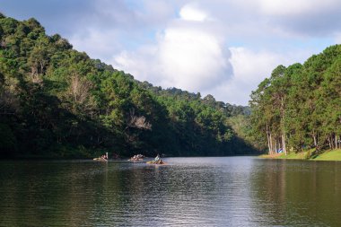 Güzel doğa gölü Pang Oung, Mae Hong Son, Tayland Çam Ormanı