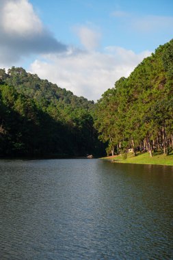 Güzel doğa gölü Pang Oung, Mae Hong Son, Tayland Çam Ormanı