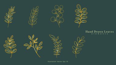 Lüks çiçekli yapraklar botanik altın çizgili sanat seti, el yapımı yapraklar çiçek dalı, yeşil lüks arka planda lüks çizgiler, Vektör illüstrasyon EPS 10
