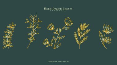 Lüks çiçekli yapraklar botanik altın çizgili sanat seti, el yapımı yapraklar çiçek dalı, yeşil lüks arka planda lüks çizgiler, Vektör illüstrasyon EPS 10