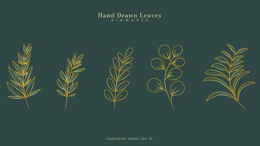 Lüks çiçekli yapraklar botanik altın çizgili sanat seti, el yapımı yapraklar çiçek dalı, yeşil lüks arka planda lüks çizgiler, Vektör illüstrasyon EPS 10