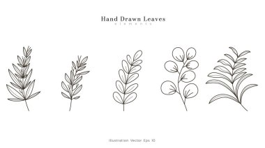 Koleksiyon seti, bitkisel yapraklar, bitkisel yaprak çizgileri, yapraklar, çiçek dalı, beyaz arka planda basılmak üzere minimum çizgi çizimi, Vektör illüstrasyon EPS 10