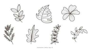 Koleksiyon seti, bitkisel yapraklar, bitkisel yaprak çizgileri, yapraklar, çiçek dalı, beyaz arka planda basılmak üzere minimum çizgi çizimi, Vektör illüstrasyon EPS 10