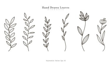 Koleksiyon seti, bitkisel yapraklar, bitkisel yaprak çizgileri, yapraklar, çiçek dalı, beyaz arka planda basılmak üzere minimum çizgi çizimi, Vektör illüstrasyon EPS 10