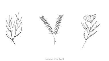 Koleksiyon seti, bitkisel yapraklar, bitkisel yaprak çizgileri, yapraklar, çiçek dalı, beyaz arka planda basılmak üzere minimum çizgi çizimi, Vektör illüstrasyon EPS 10