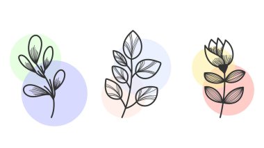 El çizimi Botanik Elementleri Vektör Kümesi, rengarenk arka planda en az çizilmiş çiçek yaprakları çizimi çizimi, el çizimi çiçek dalı, vektör illüstrasyonu EPS 10