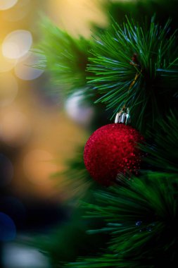 Noel arkaplanı parlak köknar dallarına yakından bakın. kopyalama alanı. Noel Şenliği 'nde Noel Ağacı Dekorasyonu ve Mutlu Yıllar 
