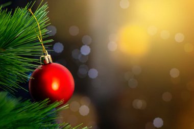 Noel arkaplanı parlak köknar dallarına yakından bakın. kopyalama alanı. Noel Şenliği 'nde Noel Ağacı Dekorasyonu ve Mutlu Yıllar 