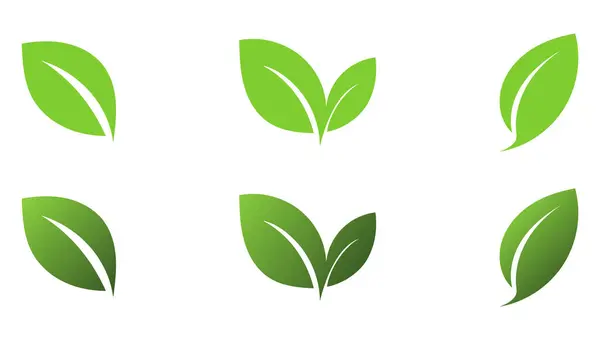 Beyaz arkaplanda izole edilmiş yeşil yaprak simgeleri, beyaz arkaplanda izole edilmiş, Düz Modern tasarım, illüstrasyon Vektörü EPS 10 