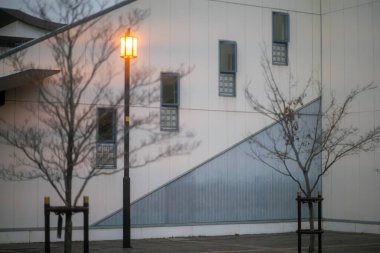 Tokyo, Japonya, Tokyo Şehri Japonya - 27 Şubat 2025