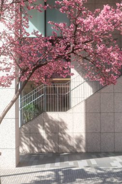 Şehrin güzel manzarası