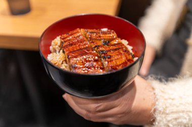 Bir kase Japon pilavı, tavuk, domuz ve tavuk, Japon yemeği.