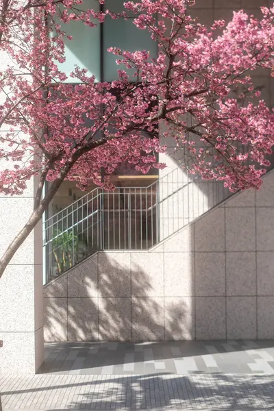 Şehrin güzel manzarası