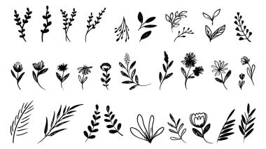 Fırça el çizimi elementler, düz modern tasarım beyaz arkaplanda izole edilmiş, Vektör illüstrasyon EPS 10