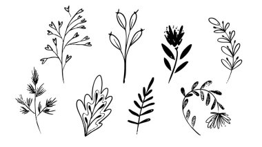 Fırça el çizimi elementler, düz modern tasarım beyaz arkaplanda izole edilmiş, Vektör illüstrasyon EPS 10