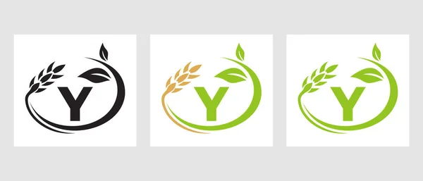 文字Y農業ロゴ アグリビジネスエコファームデザインテンプレート — ストックベクタ