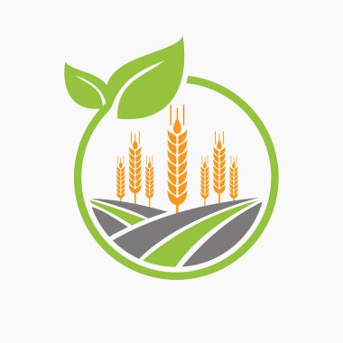 Buğday ikonlu Tarım Logosu Tasarımı. Tarım Logotype Sembol Şablonu