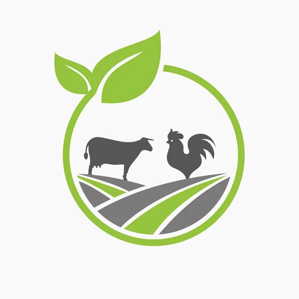 Concept Conception Logo Agriculture Avec Icône Vache Coq Modèle Symbole — Image vectorielle