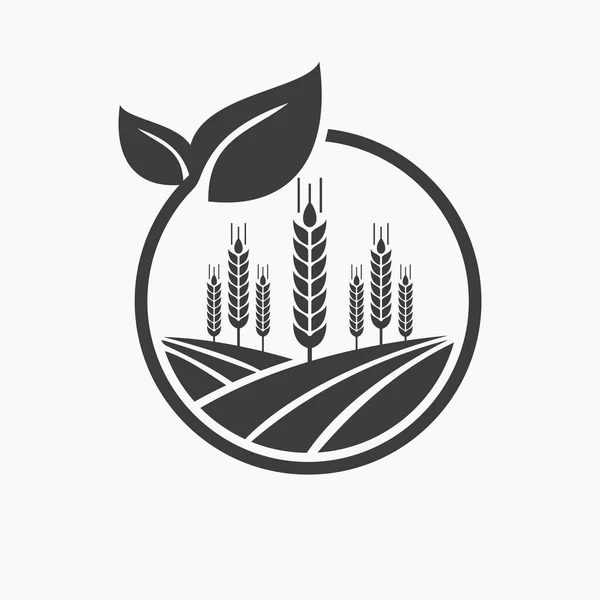 Концепция Дизайна Логотипа Сельского Хозяйства Иконой Пшеницы Шаблон Эмблемы Фермерского — стоковый вектор