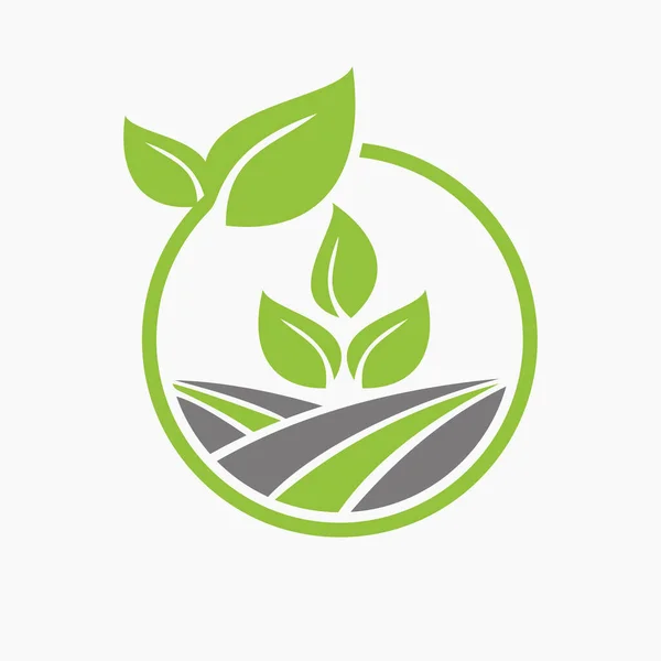 Conception Logo Eco Agriculture Modèle Symbole Logo Agriculture — Image vectorielle