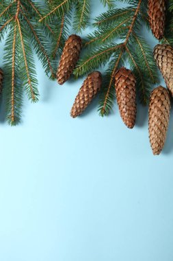 Yeni yıl arifesinde köknar dalı ve kozalaklarla dolu. Çam ağacı dallarının Noel ve Yeni Yıl tatilleri.