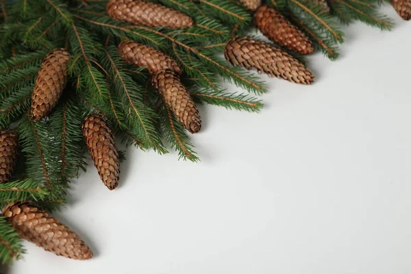 モミの枝やコーンと大晦日の背景 松の木の枝のクリスマスと正月の組成物 — ストック写真
