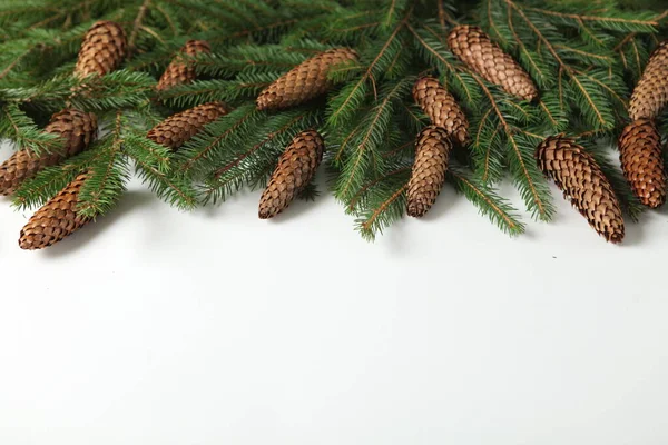 전야에 전나무 가지와 원추체를 가지고 있었다 크리스마스 와새년 연휴는 소나무 — 스톡 사진
