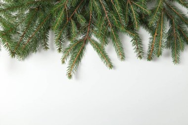 Yeni yıl arifesinde köknar dalı ve kozalaklarla dolu. Çam ağacı dallarının Noel ve Yeni Yıl kompozisyonu. Mutlu Noeller ve mutlu bayramlar tebrik kartı, çerçeve, pankart. Yeni Yıl.