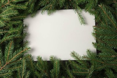 Yeni yıl arifesinde köknar dalı ve kozalaklarla dolu. Çam ağacı dallarının Noel ve Yeni Yıl kompozisyonu. Mutlu Noeller ve mutlu bayramlar tebrik kartı, çerçeve, pankart. Yeni Yıl.